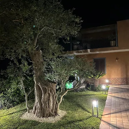 La Dimora Degli Ulivi *